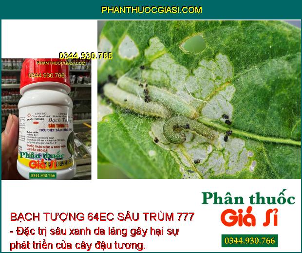 BẠCH TƯỢNG 64EC SÂU TRÙM 777 - ĐẶC TRỊ NHỆN ĐỎ - RẦY NÂU - NHỆN GIÉ - SÂU XANH