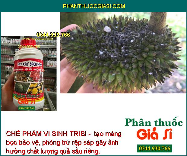 CHẾ PHẨM VI SINH TRIBI - SẠCH NẤM HỒNG - RỆP SÁP - NHỆN ĐỎ