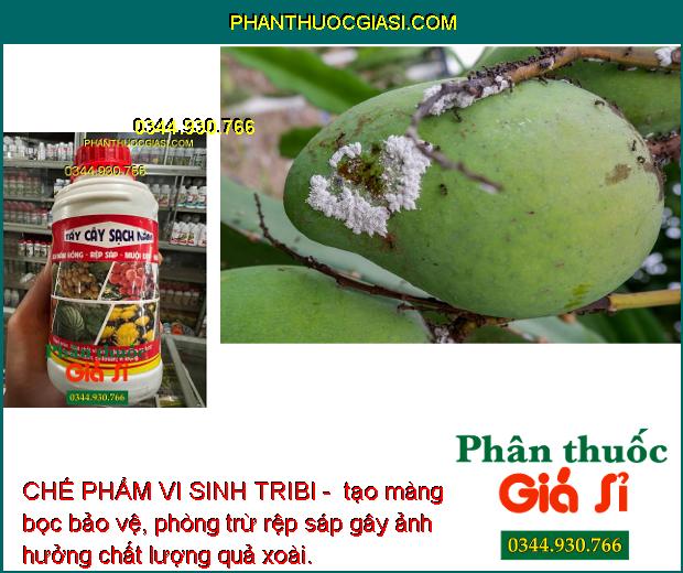 CHẾ PHẨM VI SINH TRIBI - SẠCH NẤM HỒNG - RỆP SÁP - NHỆN ĐỎ