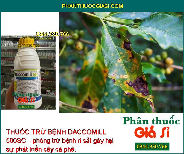 THUỐC TRỪ BỆNH DACCOMILL 500SC – ĐẶC TRỊ NẤM HỒNG - PHẤN TRẮNG - THỐI RỄ