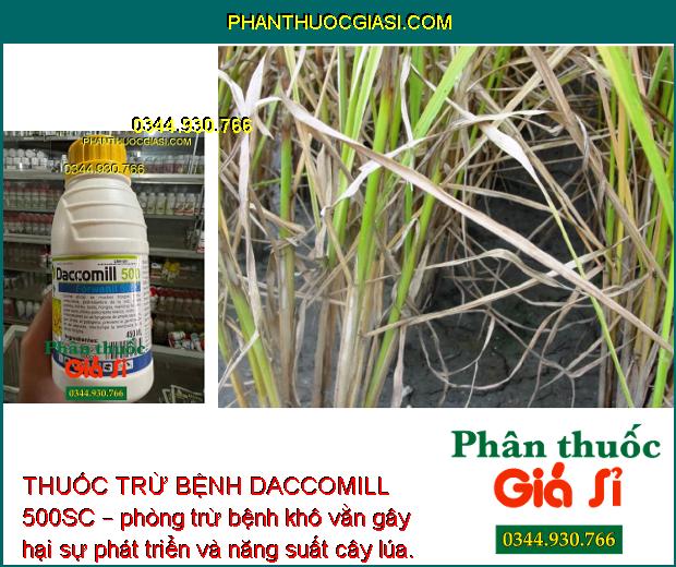 THUỐC TRỪ BỆNH DACCOMILL 500SC – ĐẶC TRỊ NẤM HỒNG - PHẤN TRẮNG - THỐI RỄ