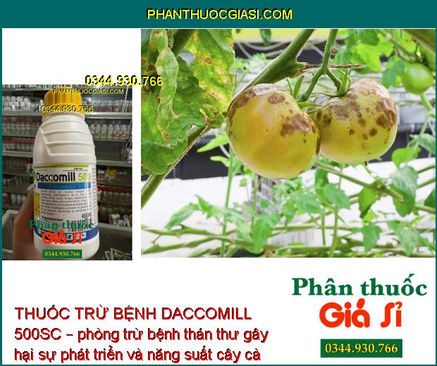 THUỐC TRỪ BỆNH DACCOMILL 500SC – ĐẶC TRỊ NẤM HỒNG - PHẤN TRẮNG - THỐI RỄ