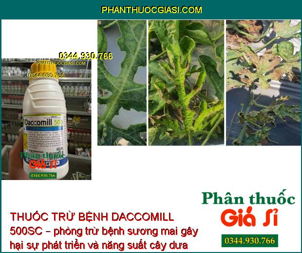 THUỐC TRỪ BỆNH DACCOMILL 500SC – ĐẶC TRỊ NẤM HỒNG - PHẤN TRẮNG - THỐI RỄ