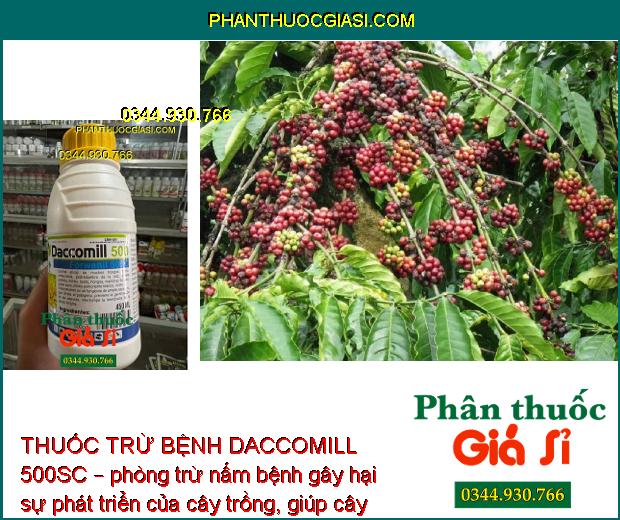 THUỐC TRỪ BỆNH DACCOMILL 500SC – ĐẶC TRỊ NẤM HỒNG - PHẤN TRẮNG - THỐI RỄ