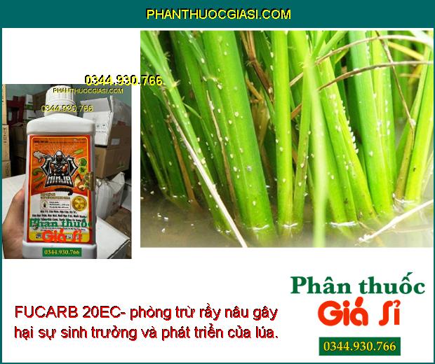 FUCARB 20EC- Đặc Trị Các Loại Sâu Gây Hại Cây Trồng