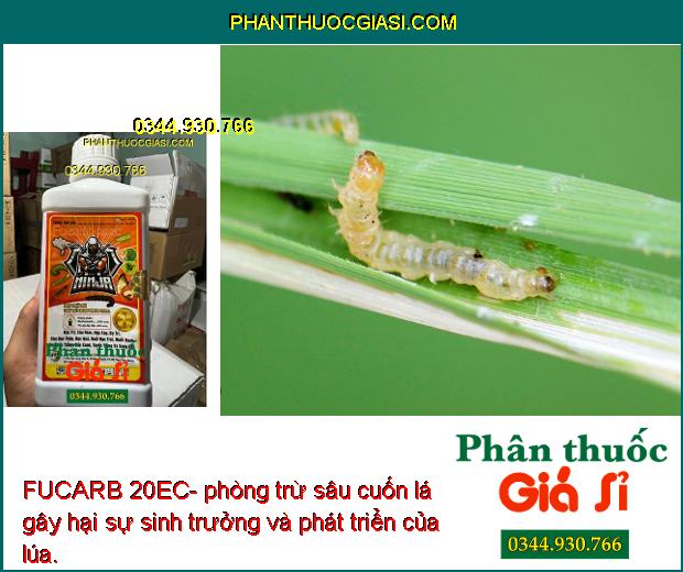 FUCARB 20EC- Đặc Trị Các Loại Sâu Gây Hại Cây Trồng