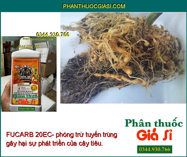 FUCARB 20EC- Đặc Trị Các Loại Sâu Gây Hại Cây Trồng