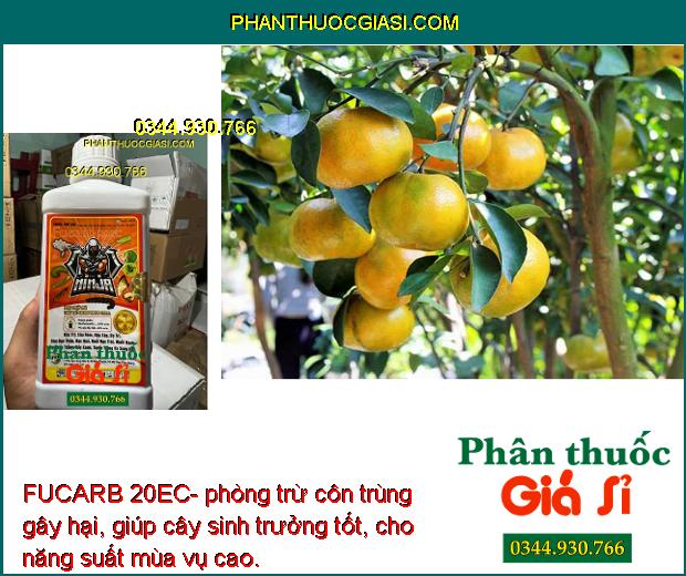 FUCARB 20EC- Đặc Trị Các Loại Sâu Gây Hại Cây Trồng