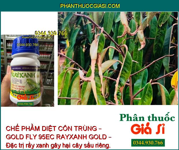 CHẾ PHẨM DIỆT CÔN TRÙNG – GOLD FLY 95EC RAYXANH GOLD – Diệt Sạch Rầy Và Trứng Rầy