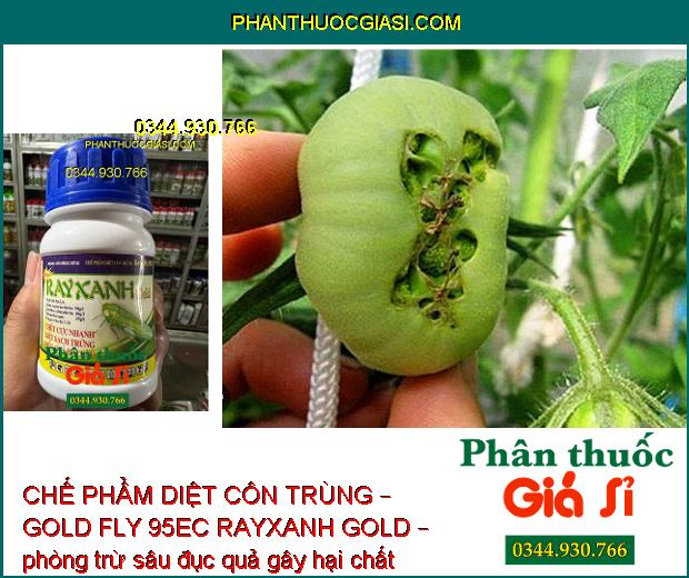 CHẾ PHẨM DIỆT CÔN TRÙNG – GOLD FLY 95EC RAYXANH GOLD – Diệt Sạch Rầy Và Trứng Rầy