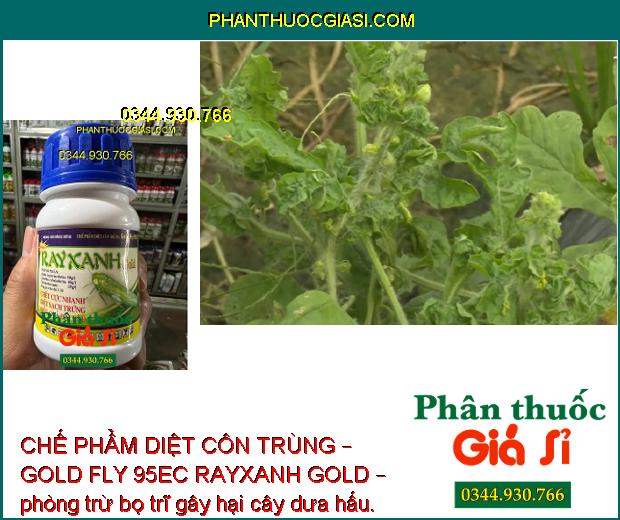 CHẾ PHẨM DIỆT CÔN TRÙNG – GOLD FLY 95EC RAYXANH GOLD – Diệt Sạch Rầy Và Trứng Rầy