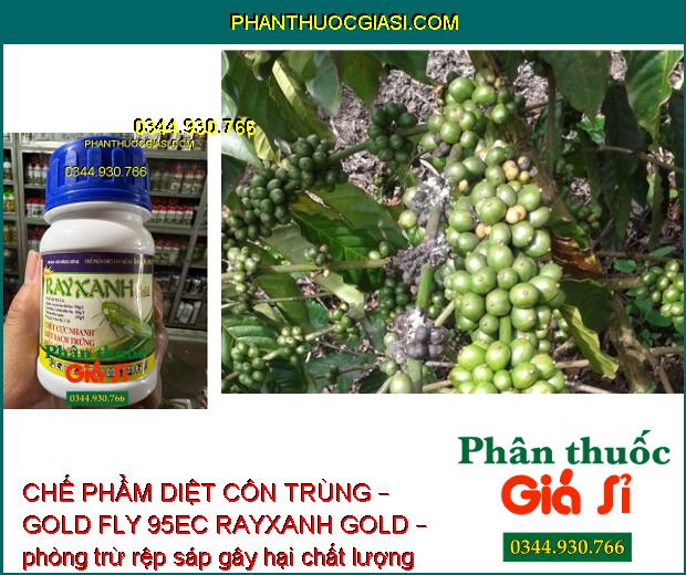 CHẾ PHẨM DIỆT CÔN TRÙNG – GOLD FLY 95EC RAYXANH GOLD – Diệt Sạch Rầy Và Trứng Rầy