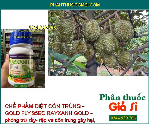 CHẾ PHẨM DIỆT CÔN TRÙNG – GOLD FLY 95EC RAYXANH GOLD – Diệt Sạch Rầy Và Trứng Rầy