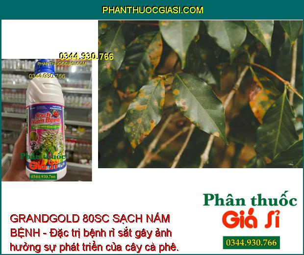 GRANDGOLD 80SC SẠCH NẤM BỆNH - Đặc trị nấm bệnh gây hại, giúp cây trồng sinh trưởng tốt, năng suất mùa vụ cao.