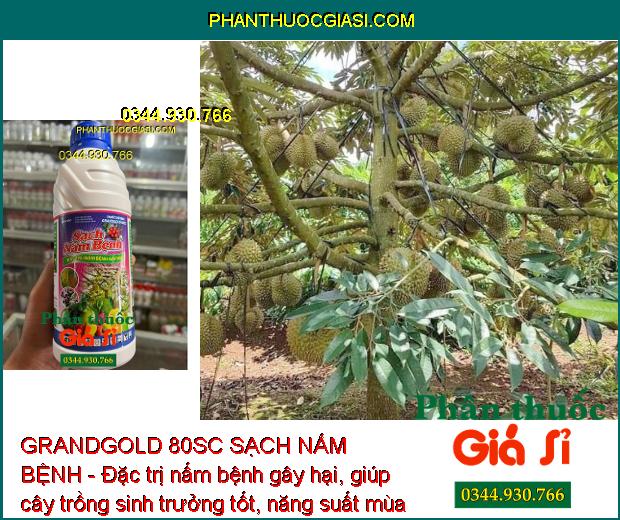 GRANDGOLD 80SC SẠCH NẤM BỆNH - Đặc trị nấm bệnh gây hại, giúp cây trồng sinh trưởng tốt, năng suất mùa vụ cao.