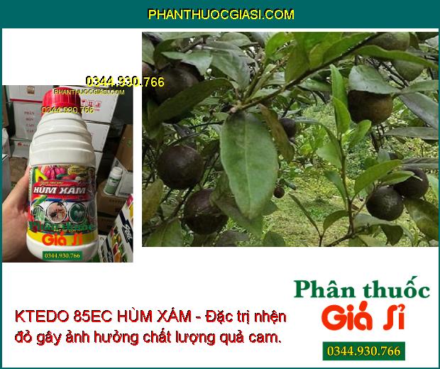 KTEDO 85EC HÙM XÁM - Đặc trị côn trùng gây hại sự phát triển cây trồng, giúp cây sinh trưởng tốt, năng suất mùa vụ cao.