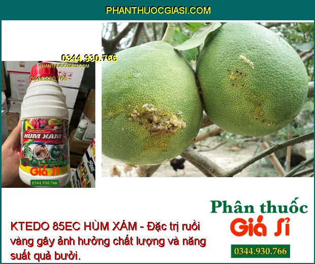 KTEDO 85EC HÙM XÁM - Đặc trị côn trùng gây hại sự phát triển cây trồng, giúp cây sinh trưởng tốt, năng suất mùa vụ cao.