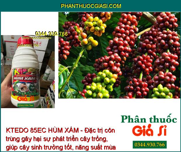 KTEDO 85EC HÙM XÁM - Đặc trị côn trùng gây hại sự phát triển cây trồng, giúp cây sinh trưởng tốt, năng suất mùa vụ cao.