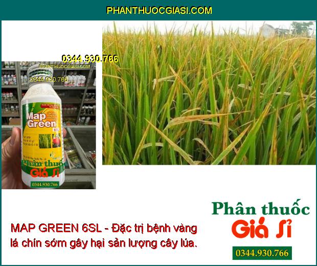 MAP GREEN 6SL - Đặc Trị Bệnh Vàng Lá Chín Sớm - Bọ Phấn - Thán Thư