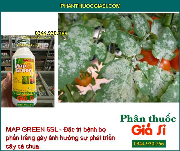 MAP GREEN 6SL - Đặc Trị Bệnh Vàng Lá Chín Sớm - Bọ Phấn - Thán Thư