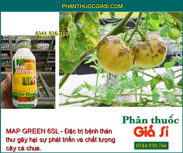 MAP GREEN 6SL - Đặc Trị Bệnh Vàng Lá Chín Sớm - Bọ Phấn - Thán Thư