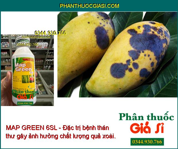 MAP GREEN 6SL - Đặc Trị Bệnh Vàng Lá Chín Sớm - Bọ Phấn - Thán Thư