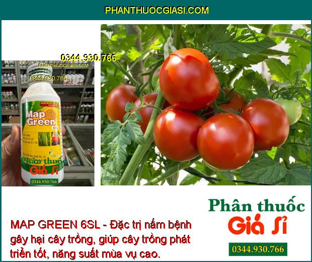 MAP GREEN 6SL - Đặc Trị Bệnh Vàng Lá Chín Sớm - Bọ Phấn - Thán Thư