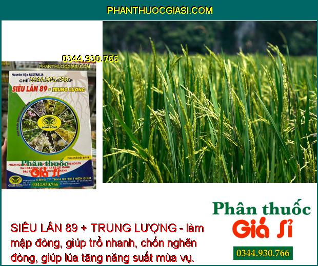 SIÊU LÂN 89 + TRUNG LƯỢNG - Phân Hóa Mầm Hoa - Xử Lý Ra Hoa Trái Vụ