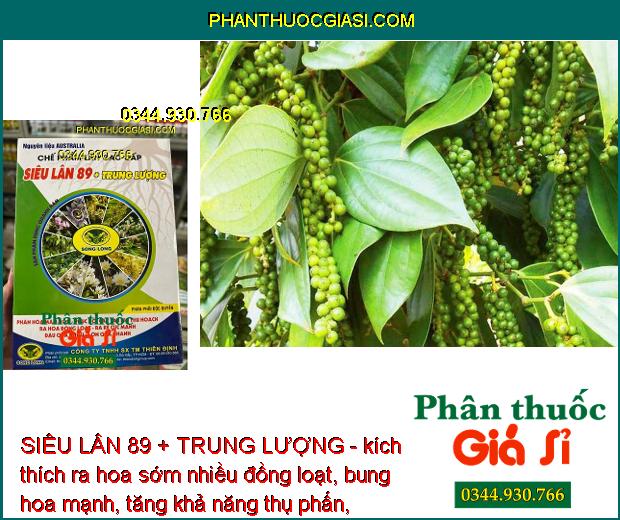 SIÊU LÂN 89 + TRUNG LƯỢNG - Phân Hóa Mầm Hoa - Xử Lý Ra Hoa Trái Vụ