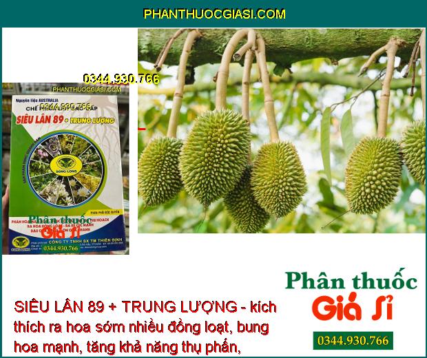 SIÊU LÂN 89 + TRUNG LƯỢNG - Phân Hóa Mầm Hoa - Xử Lý Ra Hoa Trái Vụ