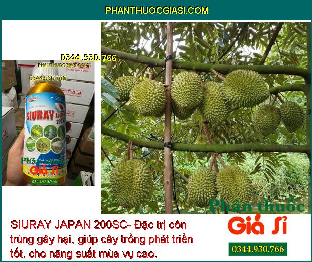 SIURAY JAPAN 200SC- Đặc Trị Ruồi Vàng - Bọ Trĩ - Sâu Vẽ Bùa - Bọ Phấn Trắng