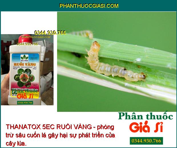 THANATOX 5EC RUỒI VÀNG - Đặc Trị Ruồi Vàng - Sâu Cuốn Lá- Bọ Trĩ - Rệp Sáp