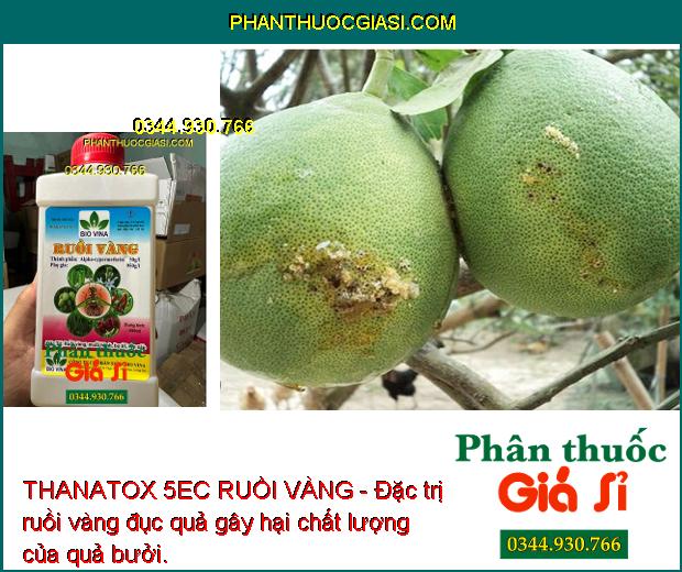 THANATOX 5EC RUỒI VÀNG - Đặc Trị Ruồi Vàng - Sâu Cuốn Lá- Bọ Trĩ - Rệp Sáp