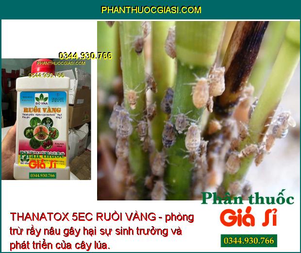 THANATOX 5EC RUỒI VÀNG - Đặc Trị Ruồi Vàng - Sâu Cuốn Lá- Bọ Trĩ - Rệp Sáp