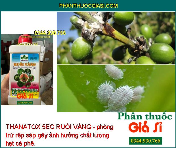 THANATOX 5EC RUỒI VÀNG - Đặc Trị Ruồi Vàng - Sâu Cuốn Lá- Bọ Trĩ - Rệp Sáp