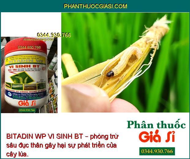 BITADIN WP VI SINH BT – phòng trừ các loại sâu gây hại, giúp cây trồng sinh trưởng tốt, năng suất mùa vụ cao.