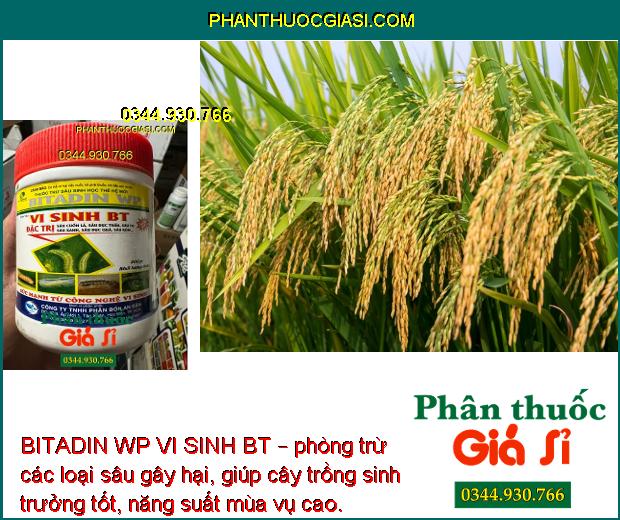 BITADIN WP VI SINH BT – phòng trừ các loại sâu gây hại, giúp cây trồng sinh trưởng tốt, năng suất mùa vụ cao.