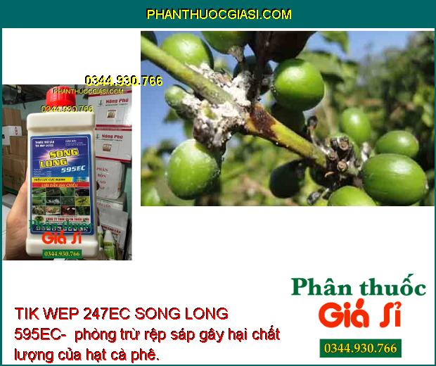 TIK WEP 247EC SONG LONG 595EC- Thuốc Đặc Trị Sâu Rầy Gây Hại