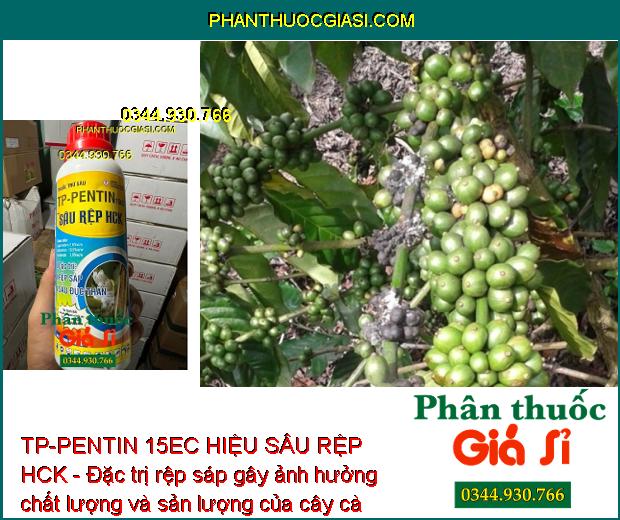 TP-PENTIN 15EC HIỆU SÂU RỆP HCK - Đặc trị côn trùng gây hại, giúp côn trùng sinh trưởng tốt, cho năng suất mùa vụ cao.