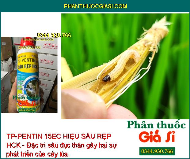 TP-PENTIN 15EC HIỆU SÂU RỆP HCK - Đặc trị côn trùng gây hại, giúp côn trùng sinh trưởng tốt, cho năng suất mùa vụ cao.