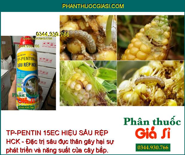 TP-PENTIN 15EC HIỆU SÂU RỆP HCK - Đặc trị côn trùng gây hại, giúp côn trùng sinh trưởng tốt, cho năng suất mùa vụ cao.