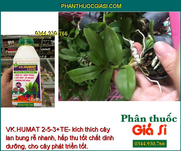 VK.HUMAT 2-5-3+TE- Phân Bón lá Siêu Mập Thân - Dày Lá - Bung Rễ Non