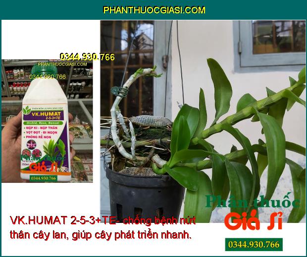 VK.HUMAT 2-5-3+TE- Phân Bón lá Siêu Mập Thân - Dày Lá - Bung Rễ Non