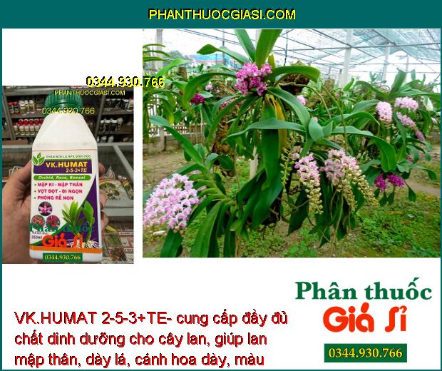 VK.HUMAT 2-5-3+TE- Phân Bón lá Siêu Mập Thân - Dày Lá - Bung Rễ Non