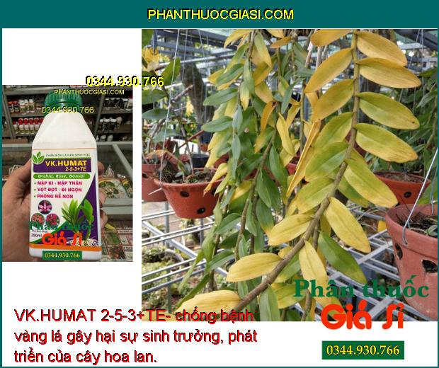 VK.HUMAT 2-5-3+TE- Phân Bón lá Siêu Mập Thân - Dày Lá - Bung Rễ Non