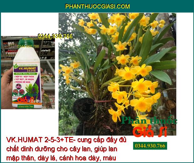 VK.HUMAT 2-5-3+TE- Phân Bón lá Siêu Mập Thân - Dày Lá - Bung Rễ Non