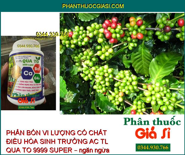 PHÂN BÓN VI LƯỢNG CÓ CHẤT ĐIỀU HÒA SINH TRƯỞNG AC TL QUA TO 9999 SUPER – Tăng Đậu Trái - Chống Rụng Trái Non - Chống Sẹo Trái - Ghẻ Trái