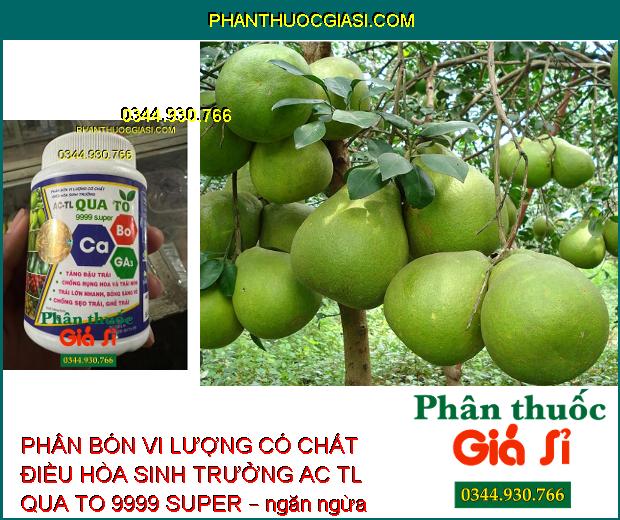 PHÂN BÓN VI LƯỢNG CÓ CHẤT ĐIỀU HÒA SINH TRƯỞNG AC TL QUA TO 9999 SUPER – Tăng Đậu Trái - Chống Rụng Trái Non - Chống Sẹo Trái - Ghẻ Trái