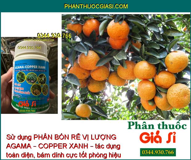 PHÂN BÓN RỄ VỊ LƯỢNG AGAMA – COPPER XANH – Tốt Cây - Sạch Bệnh - Tăng Năng Suất