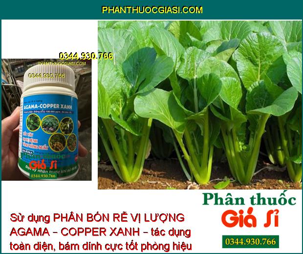 PHÂN BÓN RỄ VỊ LƯỢNG AGAMA – COPPER XANH – Tốt Cây - Sạch Bệnh - Tăng Năng Suất